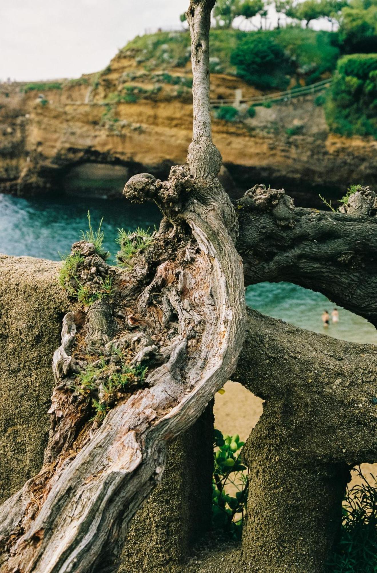 Alfred Hotels Les Halles Biarritz Bagian luar foto